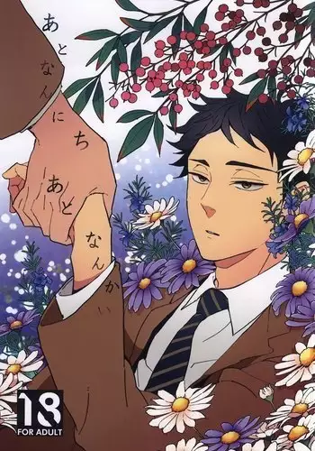 Ato Nan Nichi Ato Nankai