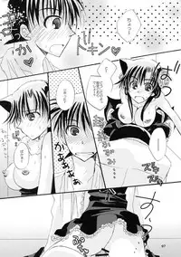 (SPARK11) [T.K.H.K (Hayami Aya)] MACARON-CHOCOLAT-DOLCE (Detective Conan)