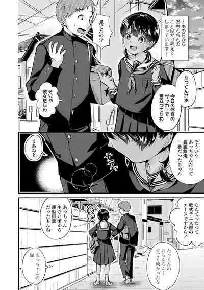 Shishunki wa Ichido dake - The one and only adolescence.