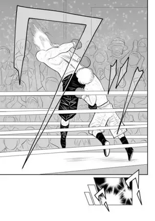 Project NTR ~Boxer Hen~