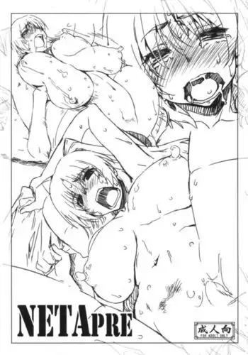 NETAPRE+コピー誌
