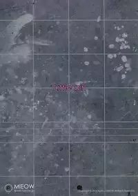 (C86) [Mieow (Rustle)] Little Girl 9 [Chinese] [三分鐘熱度個人漢化]