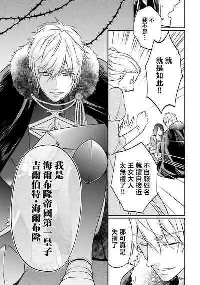 isekai de migawarihime ninari haou ni ubawaremashita | 在异世界成为了替身公主被霸王掳走了 1-12 end