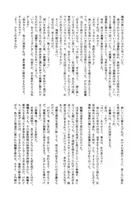 (Akatsuki no Utage 2) [Sekishoku Vanilla (Fujimura Ryuu, Kuma)] succubus (Touhou Project)