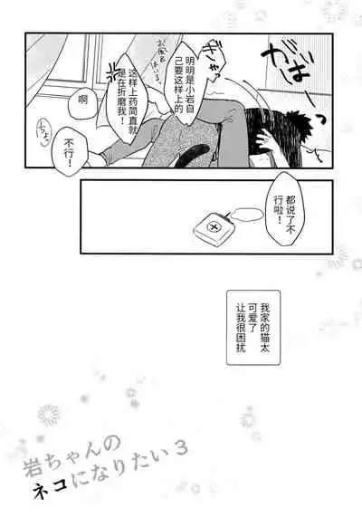 我想成为小岩的猫3 I want to become Iwa-chan's Cat! 3