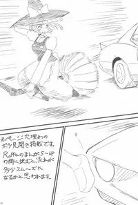 (Ryonaket 3) [Haka no Shita ni iru (Various)] Touhou Roadkill Joint Publication (Touhou Project)