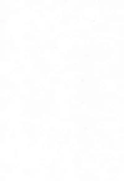 (C61) [CIRCLE FOUNDATION (Fujise Akira)] Hana-dayori (Sakura Wars)