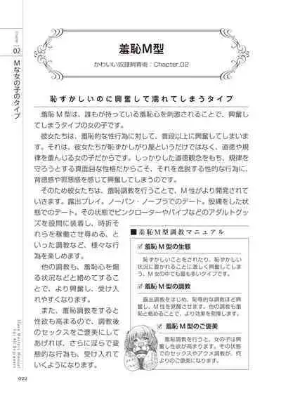 Zero kara Hajimeru SM Manual Kawaii Dorei Shiikujutsu