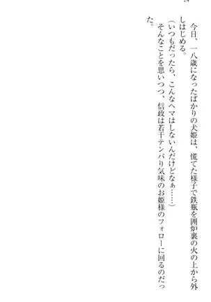 戦国犬姫!