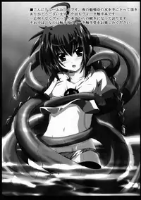 (C72) [Yoru no Benkyoukai (Fumihiro)] Vita no Hon 3 (Mahou Shoujo Lyrical Nanoha)