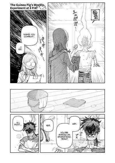 The Guinea Pig's Weekly Experiment at 8 P.M.