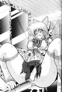 (C49) [Thirty Saver Street 2D Shooting, Studio Z-Agnam (Various)] 2D-Shooting (Sailor Moon)