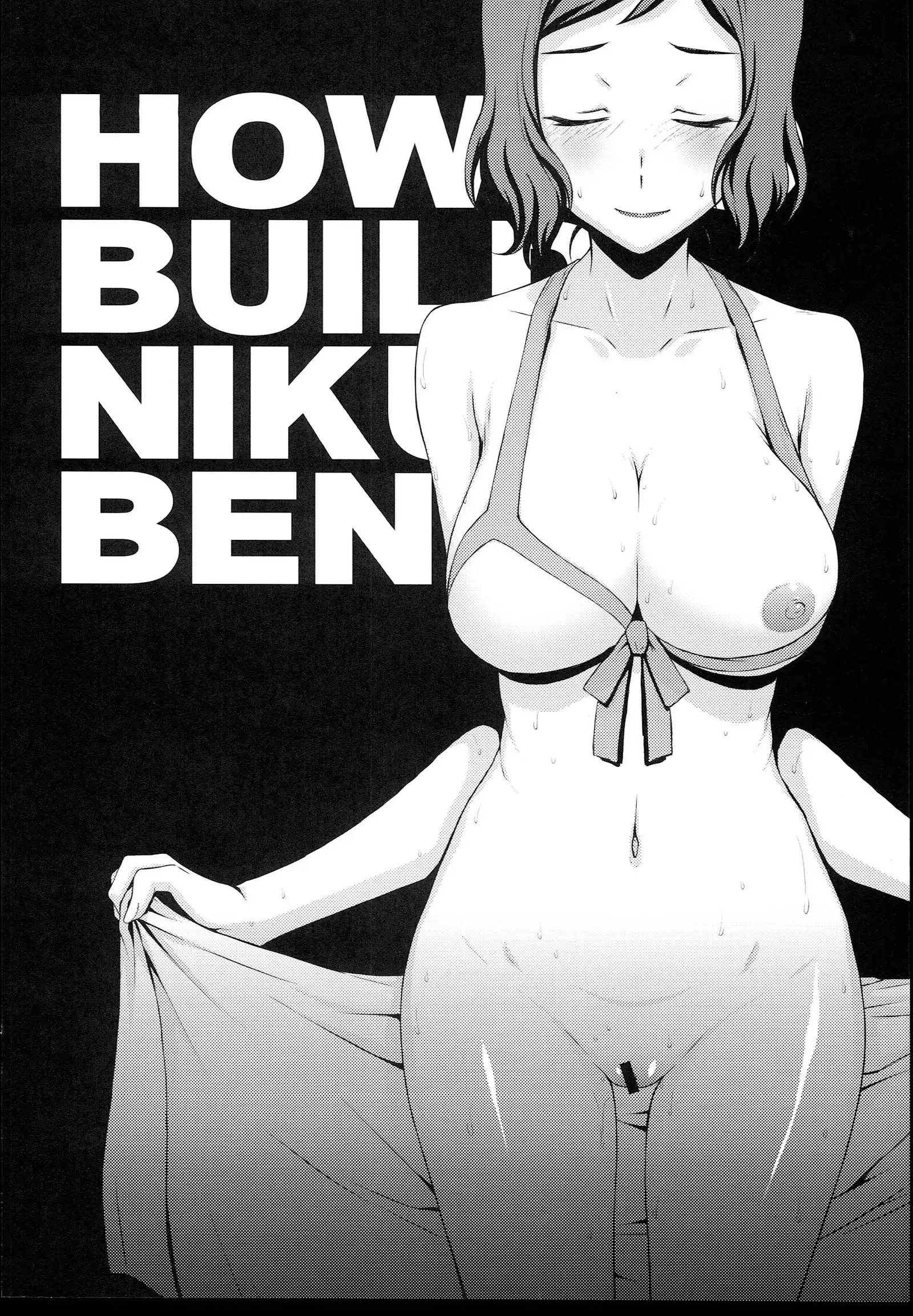 HOW TO BUILD NIKUBENKI