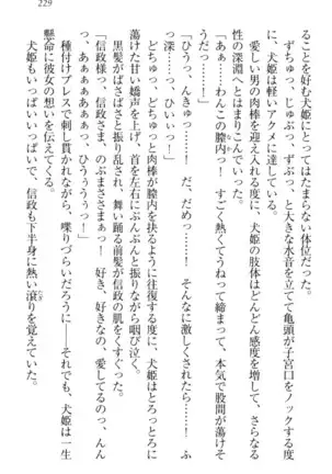 戦国犬姫!