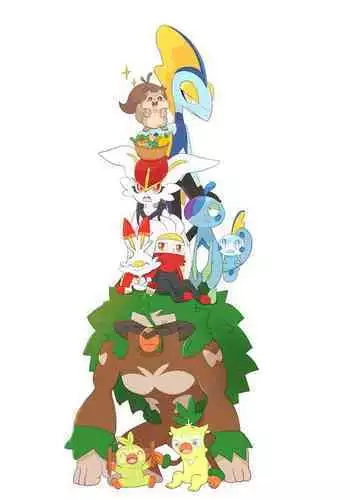 |宝可梦的故事(呜鸟木个人汉化组)