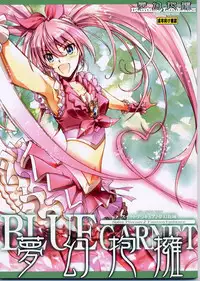 (C80) [BLUE GARNET (Seizawa Katsumi)] Mugen Houyou (Suite Precure)