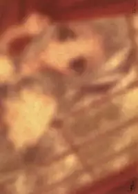 [CARNELIAN] Yami to Boushi to Hon no Tabibito Visual Fanbook