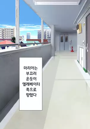 ラッキードスケベ!第1-2話