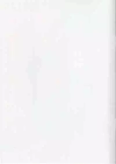 (C99) [Wasanbon (wa)] WASANBON Vol. 17 (Kantai Collection -KanColle-)