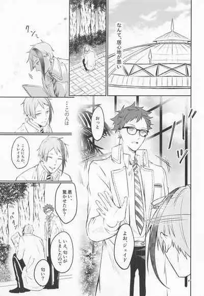 (Beckon of the Mirror 9) [Sumiyaki Teishoku (Toriniku)] Anata no Nioi de Itte Shimaimasu (Disney: Twisted-Wonderland)