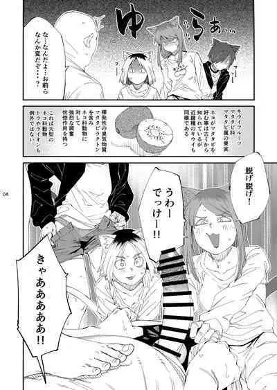 Yuubin'uke ni Nezumi dano Mushi dano Shigai Ireru no Yamero tsutte ndaro!!