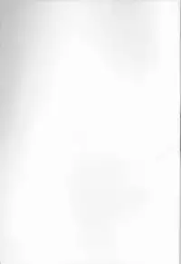 (SUPER21) [Inubaka (Matsuzono)] Tsubomi (Fate/Zero)