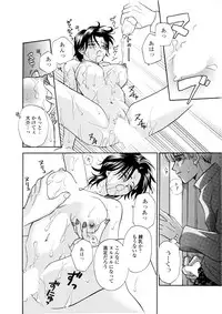 Darenimo Ienai Maru himitsu + vol.12