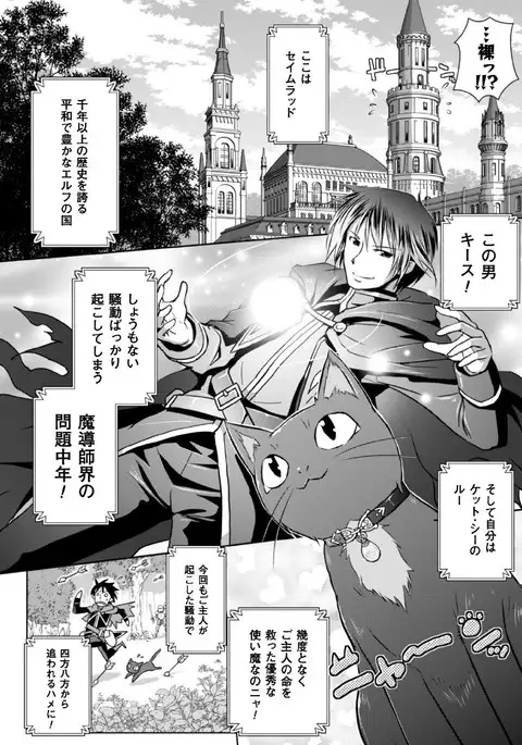 Erufu no kuni no kyūtei madō shi ni nare ta no de hime sama ni seiteki na itazura o shi te mi ta