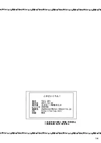 (C81) [TAIL UP! (Arima Yutaka)] KogaCyclone (Touhou Project) [English] [QB-translations]