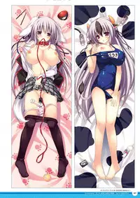 Zettai Series Visual Collection