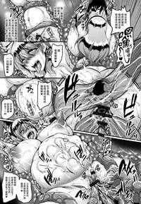 [Kazuhiro] Aijou no Injoku Elf |Chinese] [贝尔西行寺个人汉化]