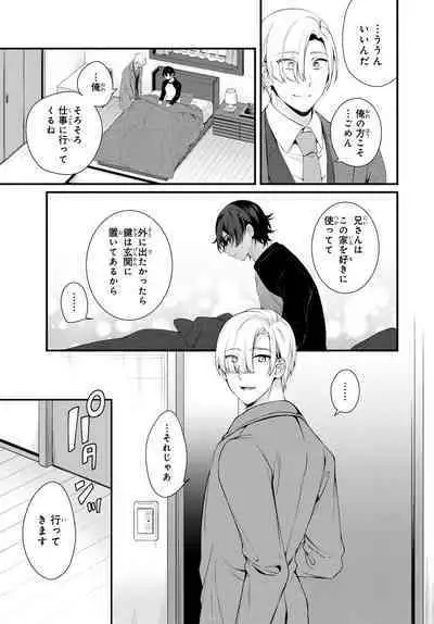 Ani o Yome ni Metorimasu ～ Kondo wa Tebanasanai ～ R18 Edition Vol. 1-4