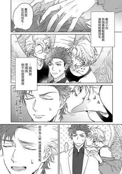 Fukurou no Koiwazurai | 猫头鹰的相思病