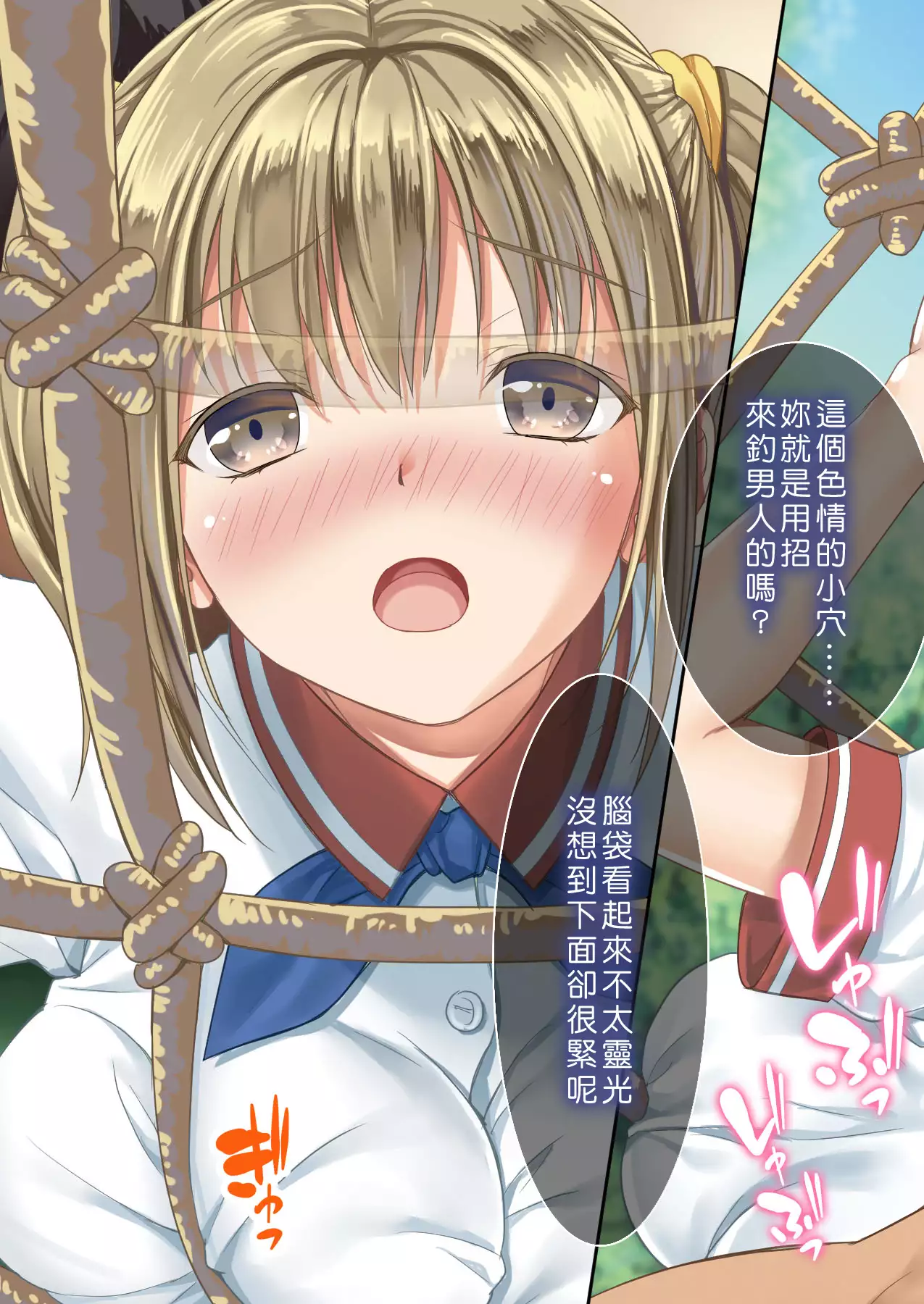 Dare mo Ore ga Wakaranai nara Tanetsuke Shi Makutte mo Mondai nai daro! 2 ~Rinkai Gakkou Hen~