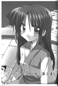 (C65) [Sumitan (Satou Kibi)] Sango-chan no Hon - Dai-san Maku (Inuyasha)