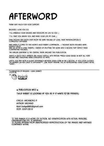 Yasei no Usagi ga Nakama ni Naritasou ni Kochira o Miteiru | Wild Rabbit Is Looking At You As If It Wants To Be Friends