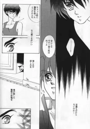 Lovers ラヴァーズ