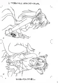 [ネコミミ団(.30-06)] CAZA MAYOR 2