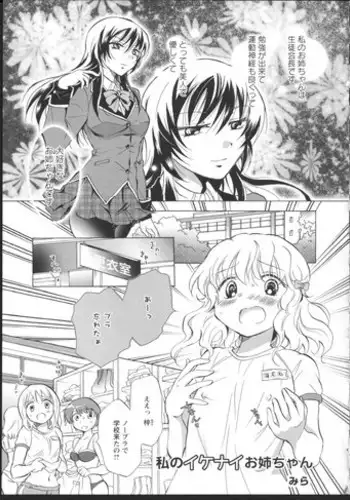 [peachpulsar (Mira)] Ojou-sama to Maid-san ga Yuriyuri Suru Manga [Chinese] [沒有漢化] [Digital]