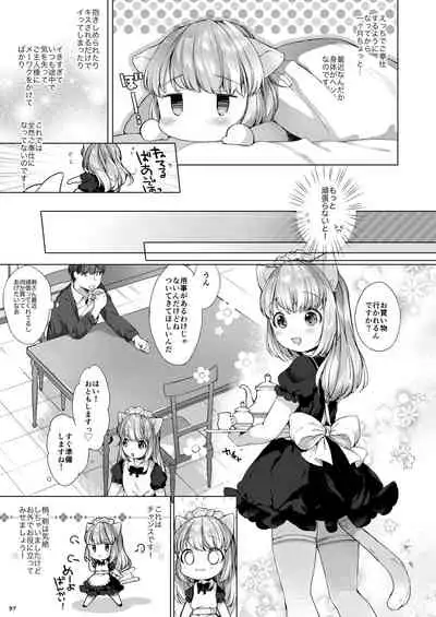 My Little Maid Soushuuhen