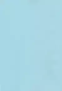 (C80) [enuma elish (Yukimi)] OMD (Steins;Gate)