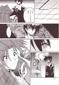 [St. Rio (Kichigai Teiou, Ishikawa Ippei)] SEED 2 (Mobile Suit Gundam SEED)