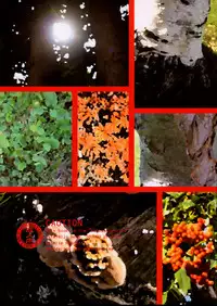 (SC41) [Nagasaki-inter (Sou Akiko)] TOUHOU REC. (Touhou Project)