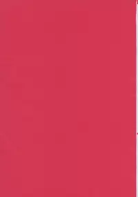 [Pink Color Division] Simple Nise Shirizu The Oane Champion (The Oneechanbara)