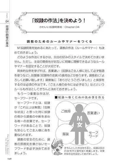 Zero kara Hajimeru SM Manual Kawaii Dorei Shiikujutsu