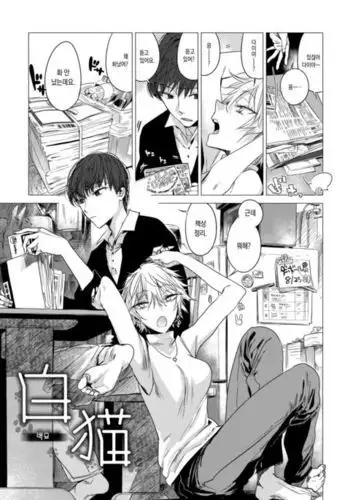 [ERRORWORK Buchouhou