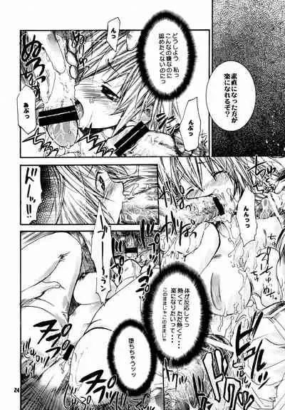 (C63) [Seinansei ni Kagayakeu Hoshi (Morino Papiko)] Shuuen no Nai Yoru o Mukaete (Hellsing)