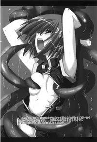 (C74) [Yoru no Benkyoukai (Fumihiro)] Hayate no Hon 2 (Mahou Shoujo Lyrical Nanoha)