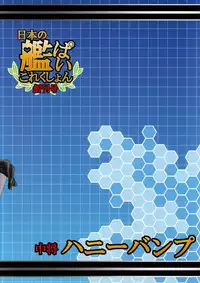 (C85) [Honey Bump (Nakatsugawa Minoru)] Nippon no Kanpai Collection -Soukangou- (Kantai Collection -KanColle-)