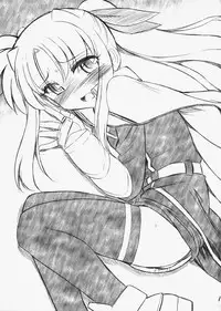 (C73) [EINSATZ GRUPPE (Charlie Nishinaka)] P11 PRISONER 11 NANOHANANONANO (Mahou Shoujo Lyrical Nanoha StrikerS)